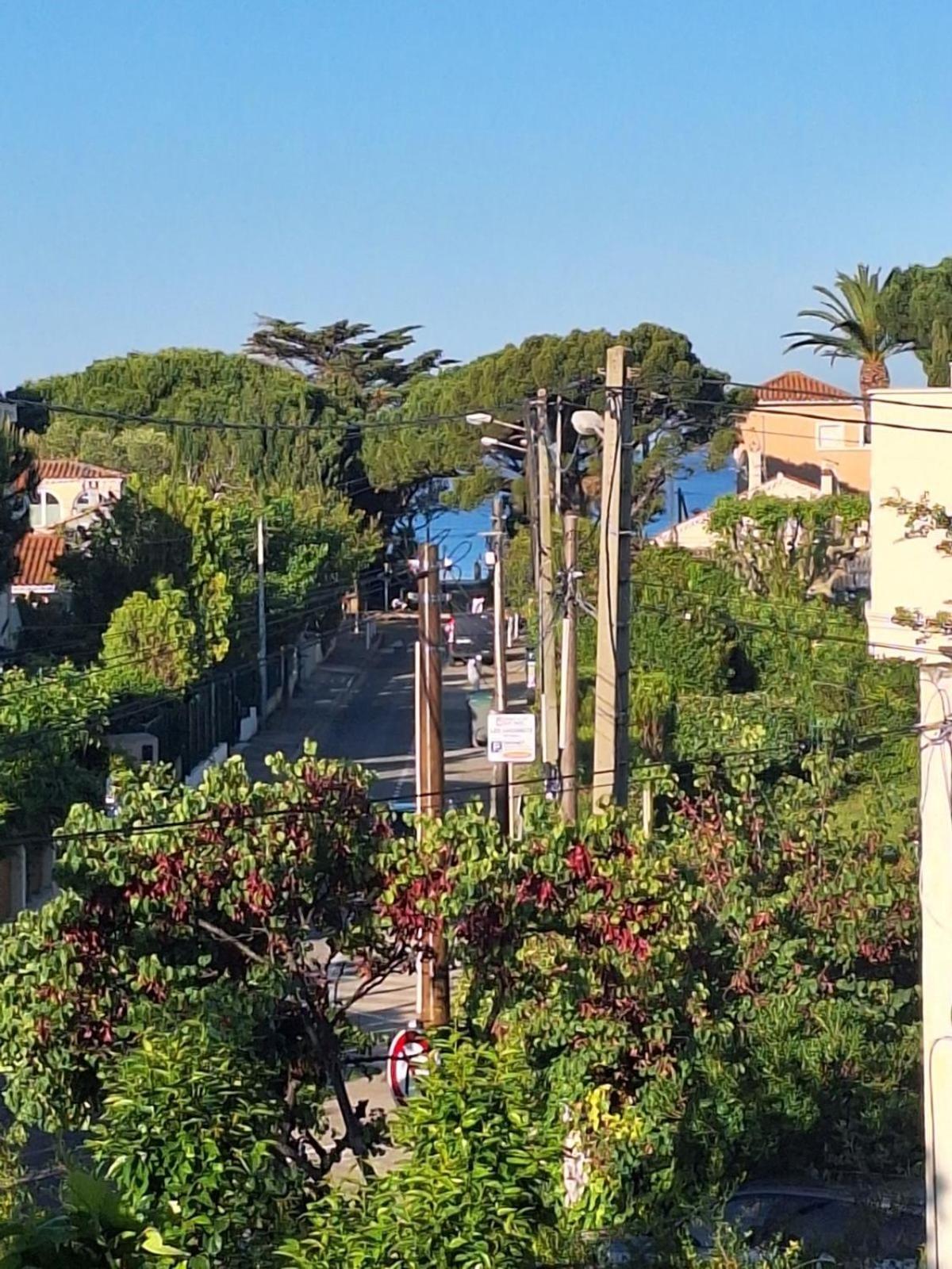 Appartement La Fregate Avec Terrasse A 100M De La Plage Saint-Cyr-sur-Mer Buitenkant foto
